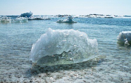 Apps that can help to save the world from Global Warming