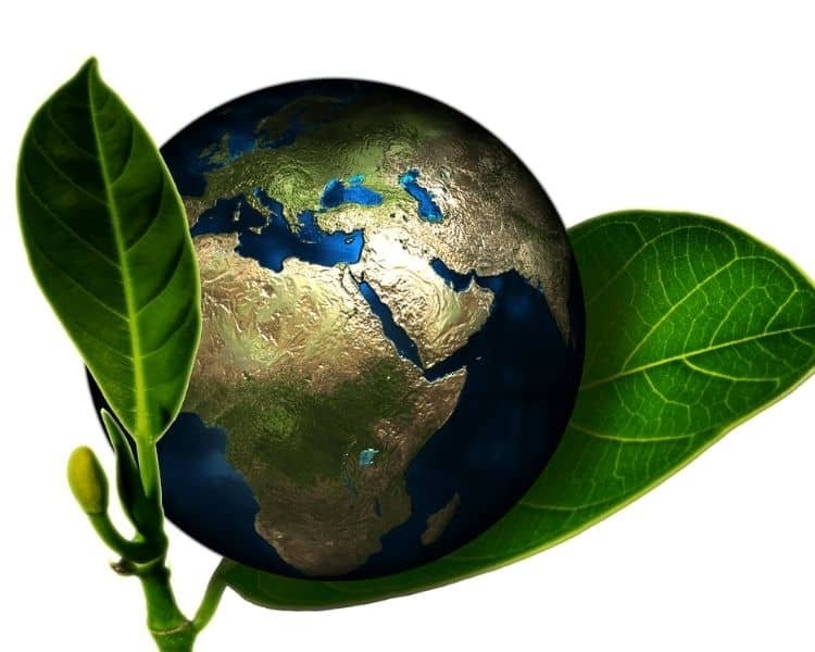Apps for eco-friendly living